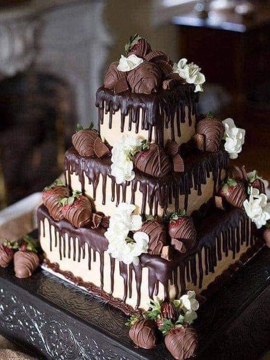 Delicious Chocolate Cake – A Dream for Chocolate Lovers! 464322806_10234417022111574_2764410119291444590_n